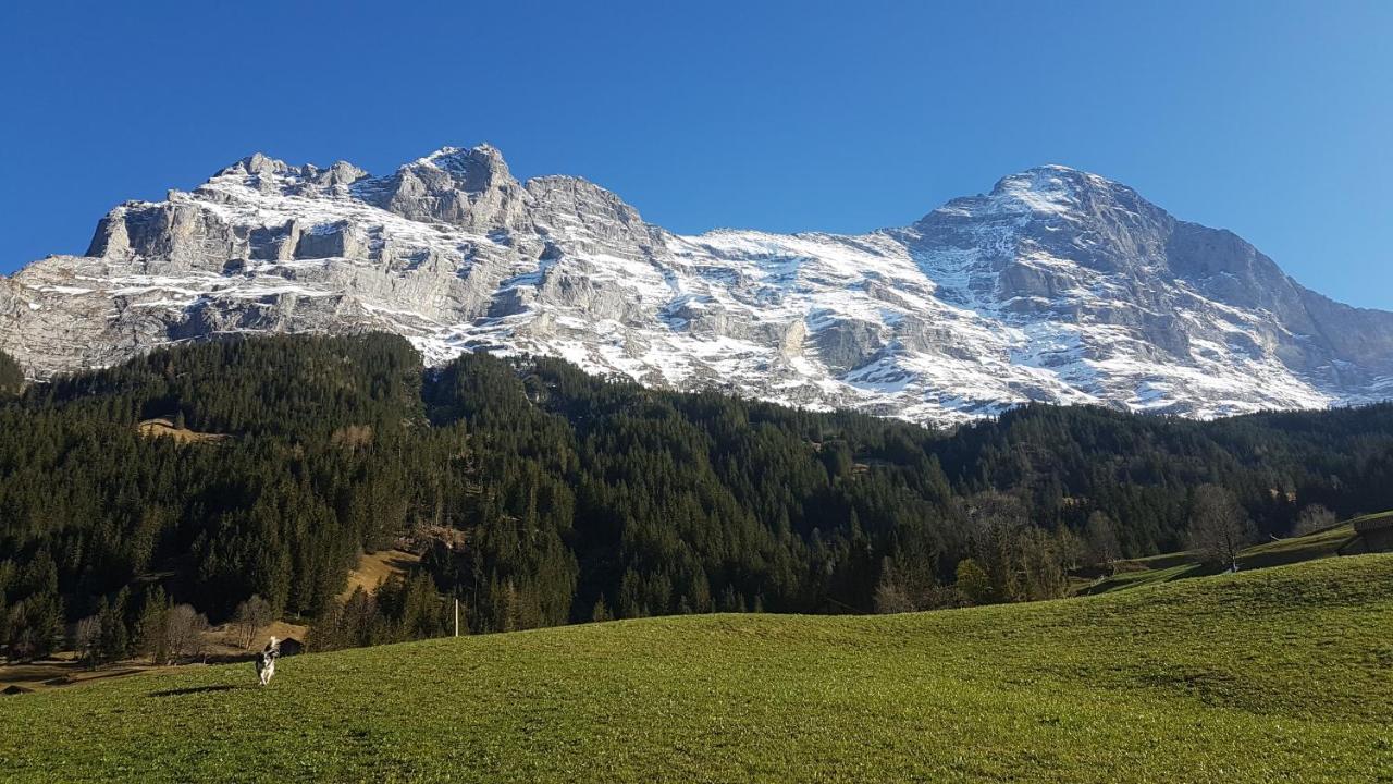 Chalet Bei Der Arve Grindelwald Exteriér fotografie